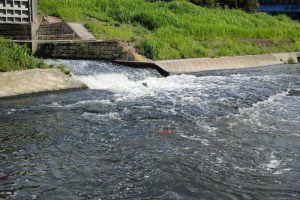 What is Activated Sludge? – A Complete Guide to its Mechanism, Types, and Characteristics