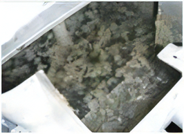Removal of FOG (Fat, Oil and Grease) in Raw Wastewater