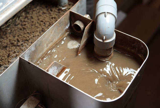 Sludge Feeding
