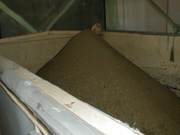Dried Cake