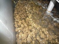 Flocculation Tank